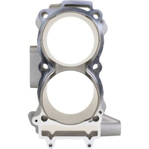 Polaris RZR 4 900 Big Bore Cylinder Kit - Cylinder Works - 98mm - 2014